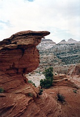 1997 - USA 174 (Capitol Reef National Park, UT)
